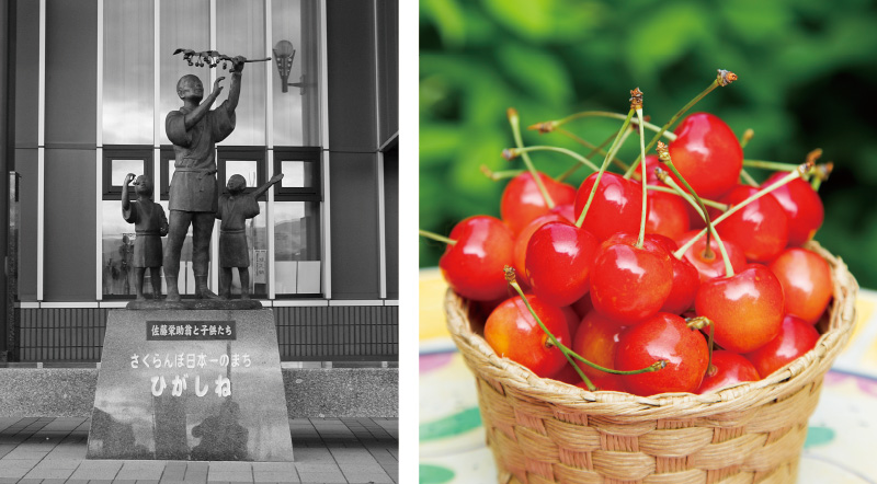 さくらんぼ 佐藤錦 誕生秘話 山形のさくらんぼ通販なら 佐藤錦 オンラインショップ